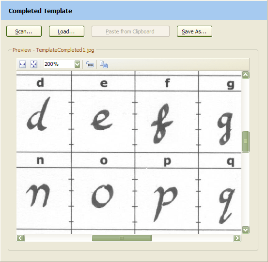 Filled-in Scanahand Template